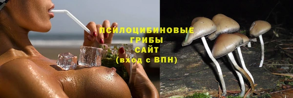 меф Козельск