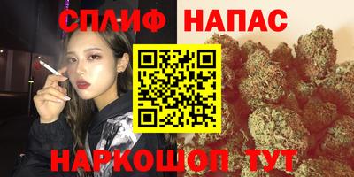 прущие крисы Будённовск