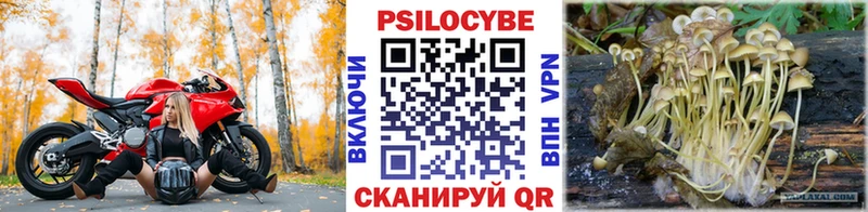 Галлюциногенные грибы прущие грибы  Ногинск 