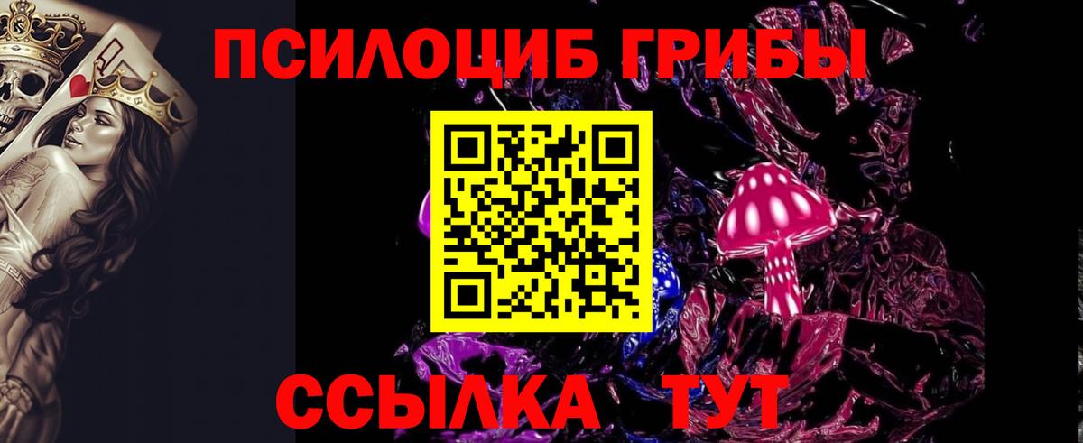 Галлюциногенные грибы GOLDEN TEACHER  Вход с VPN  Ногинск 