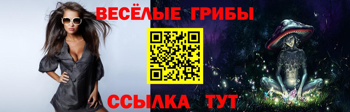 Галлюциногенные грибы GOLDEN TEACHER Ногинск