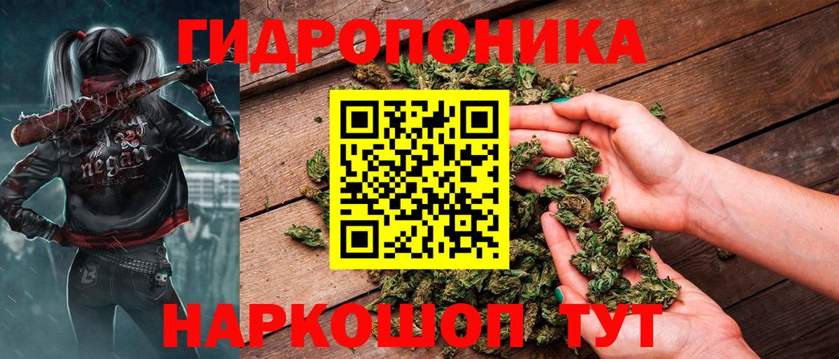 Бошки марихуана конопля Ногинск